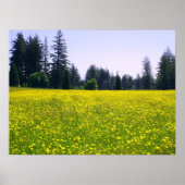 Volledige bloei poster (Voorkant)