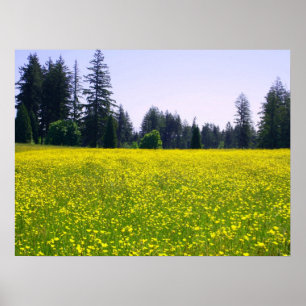 Volledige bloei poster