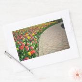 Volledige bloei tulpenpad - mooie sticker (Envelop)