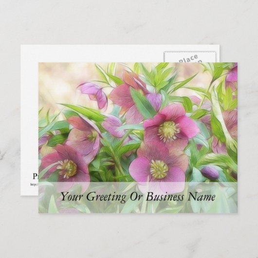 Volledige bloem - Hellebores! Briefkaart (Voorkant / Achterkant)