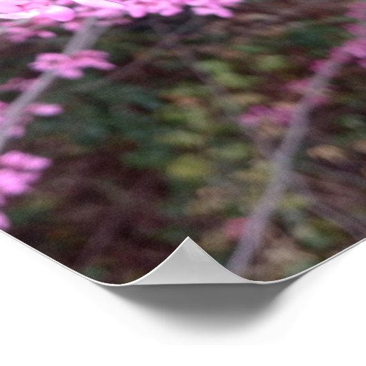 Volledige bloem poster (Hoek)