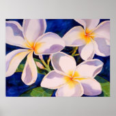 Volledige bloem poster (Voorkant)