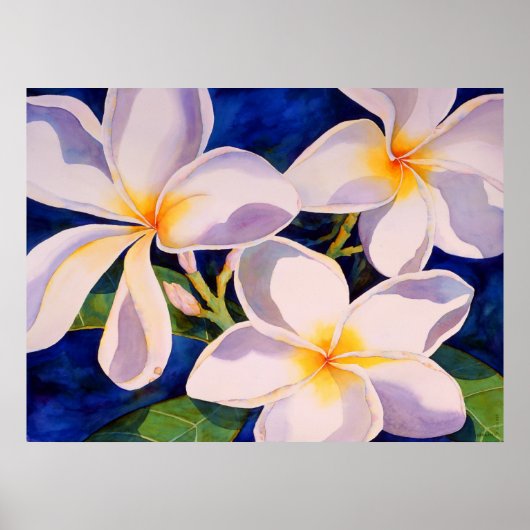 Volledige bloem poster (Voorkant)