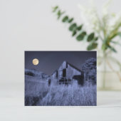 Volledige bovenleiding | Oude zeebrasem Briefkaart (Staand voorkant)