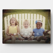 Volledige foto-indeling voor onze gemengde familie fotoplaat (voorkant)