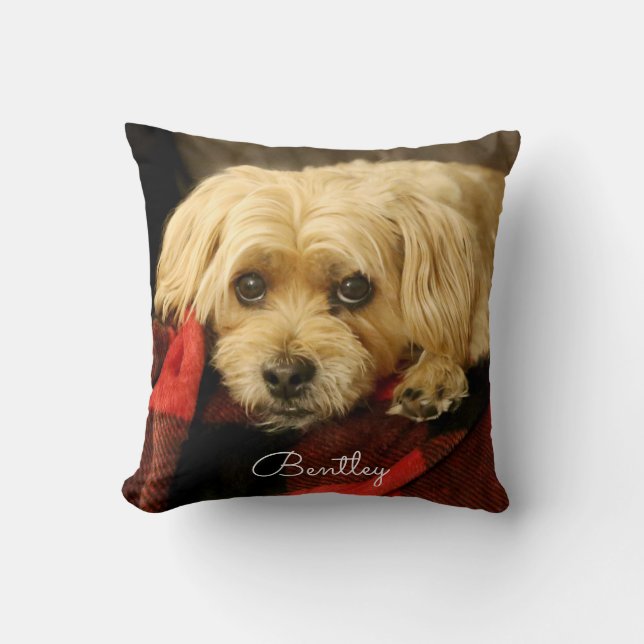 Volledige fotopiloot | Green Play Kussen (Voorkant)