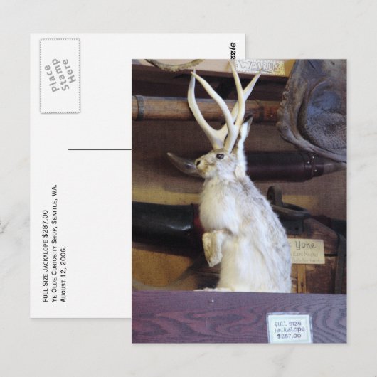 Volledige jasje $287,00 briefkaart (Voorkant / Achterkant)