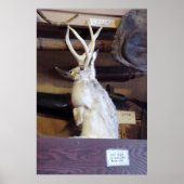 Volledige jasje $287,00 poster (Voorkant)