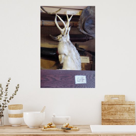 Volledige jasje $287,00 poster (Keuken)