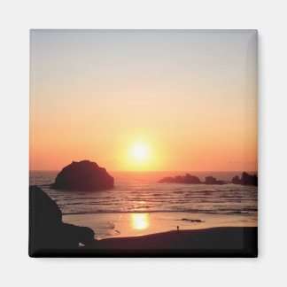Volledige Kleur Gezicht Rock Sunset Oregon Kustmag Magneet