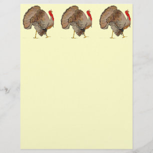 Volledige kleuren Thanksgiving Turkije