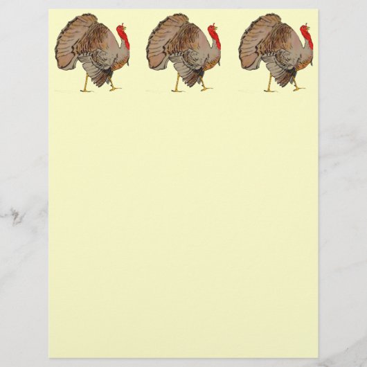 Volledige kleuren Thanksgiving Turkije (Voorkant)