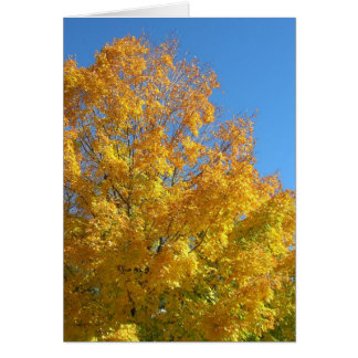 Volledige kleurenkaart