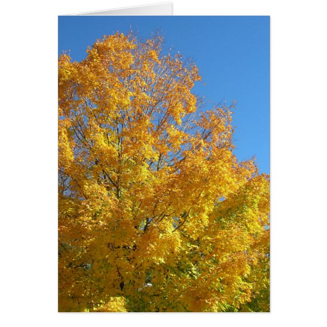 Volledige kleurenkaart (Voorkant)