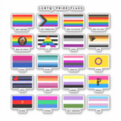 Volledige LGBTQ+ Pride Flag Guide Sticker (Voorkant)