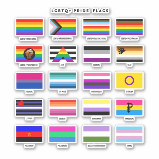 Volledige LGBTQ+ Pride Flag Guide Sticker (Voorkant)