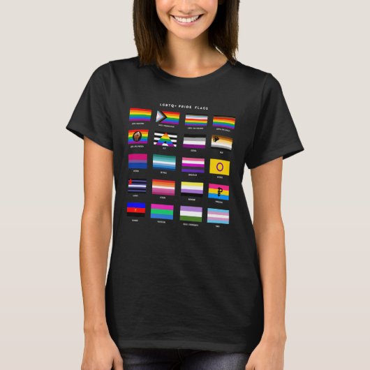 Volledige LGBTQ+ Pride Flag Guide T-shirt (Voorkant)