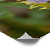 Volledige Lijst Columbine Poster (Hoek)