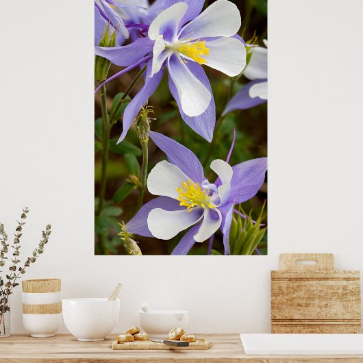 Volledige Lijst Columbine Poster (Keuken)