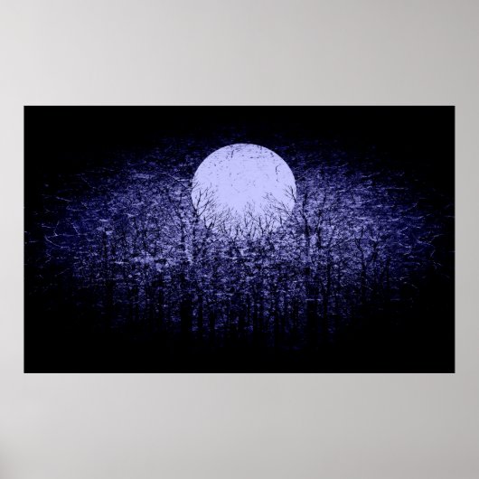 Volledige maan #9 poster (Voorkant)