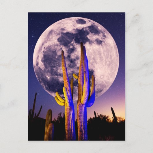 Volledige maan boven Saguaro Cactus Briefkaart (Voorkant)