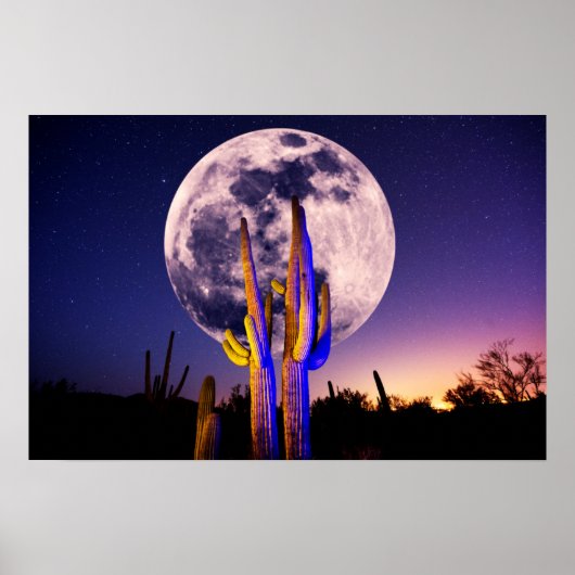 Volledige maan boven Saguaro Cactus Poster (Voorkant)
