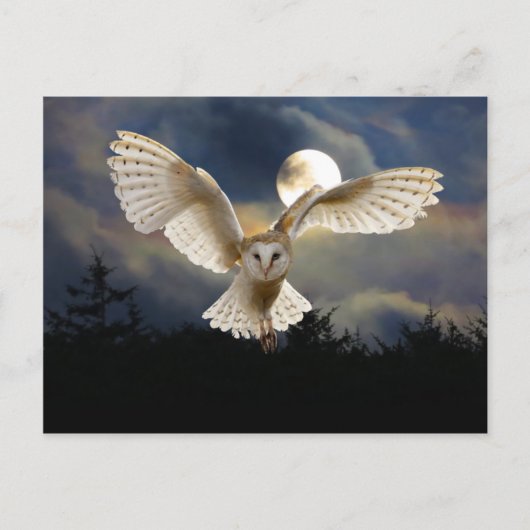 "Volledige maan" Briefkaart (Voorkant)