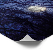 Volledige maan en maanlicht door bomen poster (Hoek)