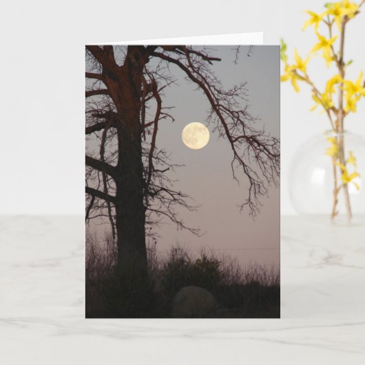 Volledige maan kaart (Gele Bloem)