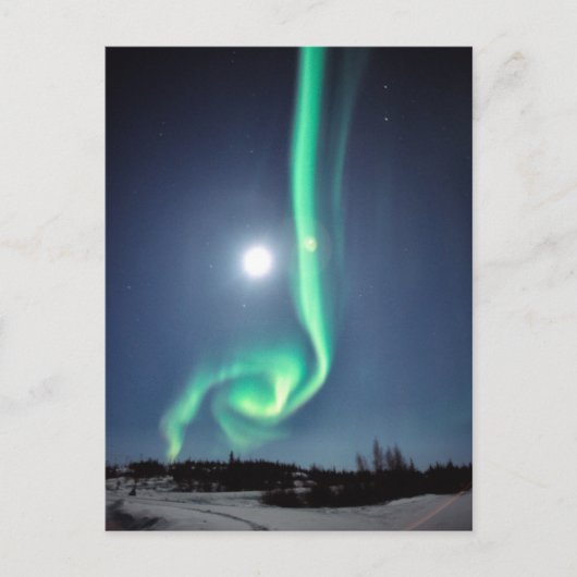 Volledige maan met Aurora | Geelmes Canada Briefkaart (Voorkant)