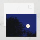 Volledige maan met bomen en blauwe hemel briefkaart (Voorkant / Achterkant)