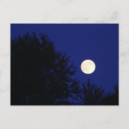 Volledige maan met bomen en blauwe hemel briefkaart