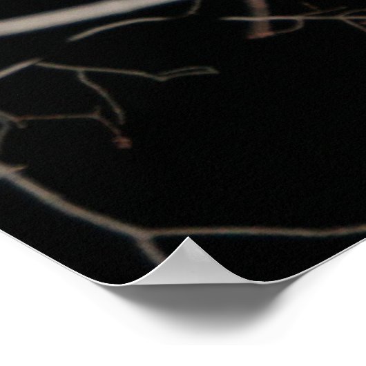 Volledige maan op het poster van het Web (Hoek)