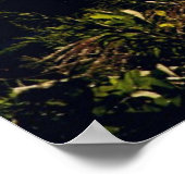 Volledige maan poster (Hoek)