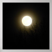 Volledige maan poster (Voorkant)