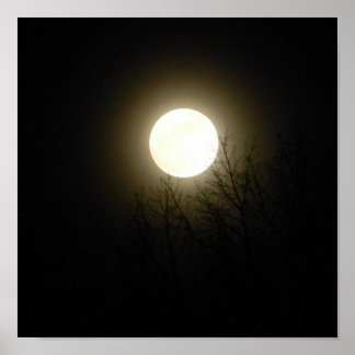 Volledige maan poster
