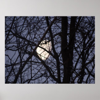 Volledige maan scène poster