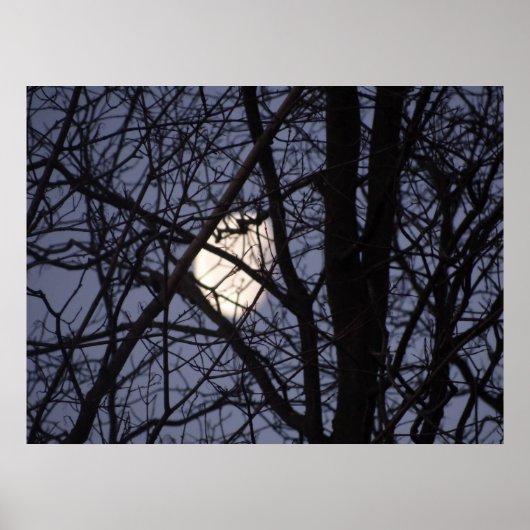 Volledige maan scène poster (Voorkant)