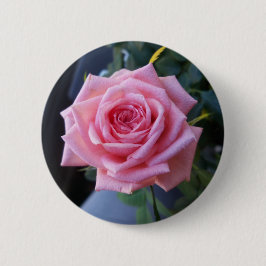 Volledige roze roos ronde button 5,7 cm