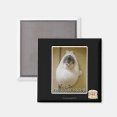 Volledige snelheid vooruit magneet (Voorkant / Achterkant)