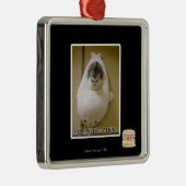 Volledige snelheid vooruit metalen ornament (Rechts)