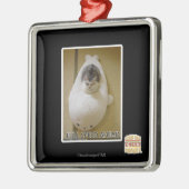 Volledige snelheid vooruit metalen ornament (Links)