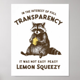 Volledige transparantie Het was niet gemakkelijk P Poster