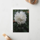 Volledige witte pioen notitiekaartje (Voorkant / Achterkant in situ)