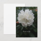 Volledige witte pioen notitiekaartje (Voorkant / Achterkant)