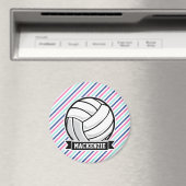 Volleybal; Blauw, Roze, & Witte Strepen, Sport Magneet (Insitu (Vaatwasser))