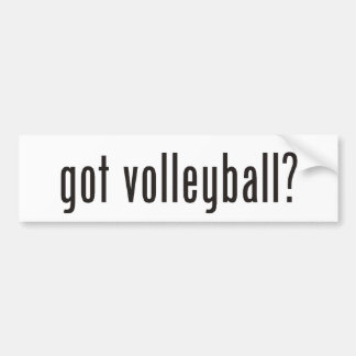 volleybal? bumpersticker