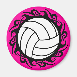 volleybal magneet