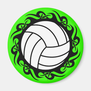 volleybal magneet