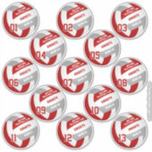 Volleybal teamleden set van 13 Red Grey Sticker (Voorkant)